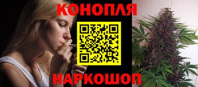 мяу мяу мука Камышлов