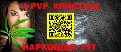 spice Кандалакша